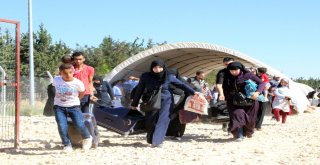 13 Bin Suriyeli Bayram İçin Gitti