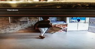 Güpegündüz Sahipli Kediyi Böyle Alıp Gittiler