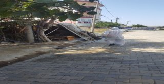Şarbon Şüphesiyle Karantinaya Alınan Mahallelerde İlaçlama Devam Ediyor