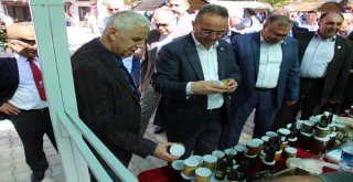 Sökede Turunçlar El Emeği Ve Üretici Pazarı Açıldı