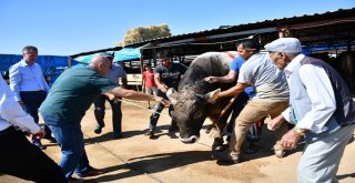 İnegöl Hayvan Pazarına Başkan Tabandan Ziyaret