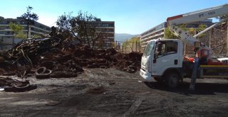 Hırsızlardan Sakladığı Tüpleri Bomba Gibi Patladı