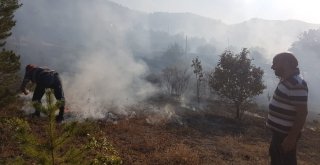 Gümüşhanedeki Örtü Yangını Kontrol Altına Alındı