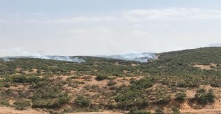 Bingölde Ormanlık Alanda Yangın