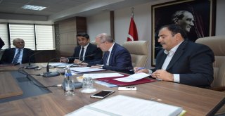 Balıkesir Kuzusunun Tespiti İçin Protokol İmzalandı