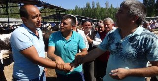 Kurban Pazarı Hareketlendi