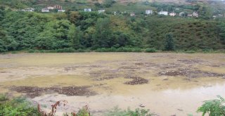 Şiddetli Yağış Sera Gölünü Çöp Ve Çamurla Kapladı