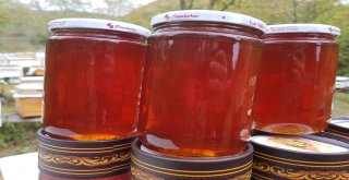 Anzer Balı İle Yarışacak