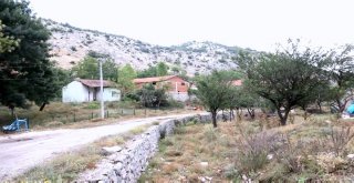 Çoban Kadınların Okuma Yazma Sevinci