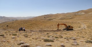 16 Mahalle Çifte Bayram