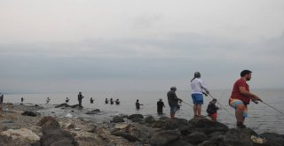 İznik Gölünde Balık Tutmak İçin Yarıştılar