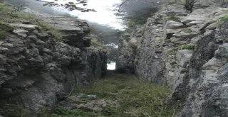 Herkes Bu Kayayı Görmeye Geliyor