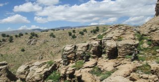 Tsk: 1 Haftada 7Si Lider Kadroda 52 Terörist Etkisiz Hale Getirildi