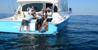 Ünlü İş Adamlarının Katıldığı Balık Turnuvasında 118 Kiloluk Orkinos Tutuldu