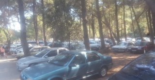 Kuşadası Milli Parkı Bayram Tatilinde Ziyaretçi Rekoru Kırdı