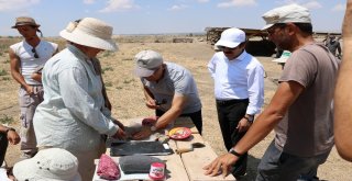 Kınık Höyükte 6 Bin Yıl Öncesine Ait Pers Tapınağı Bulundu