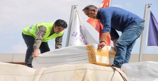 Hayat Ağacı Derneğine Çocuk Kıyafeti Bağışı