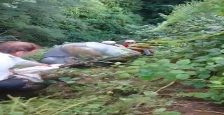 İşçiler Yamaçtan Yuvarlanan Çay Terisi İçin Seferber Oldu