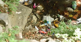 Maski, Vatandaşları Çevre İçin Duyarlı Olmaya Davet Etti