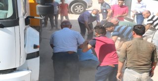 Şanlıurfada Kaçan Kurbanlıklar Sahiplerine Zor Anlar Yaşattı