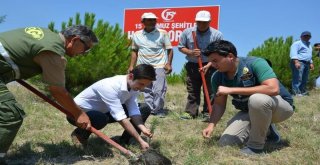 Selendide 15 Temmuz Şehitleri Hatıra Ormanı Oluşturuldu