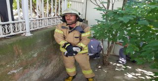 (Özel) Gittikleri Hastanede Kedi Sahiplendiler