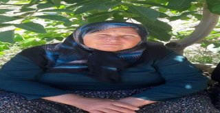 Burdurda Kayıp Kadın Baygın Halde Bulundu