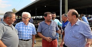 Başkan Özakcan Hayvan Pazarında Vatandaşlarla Buluştu