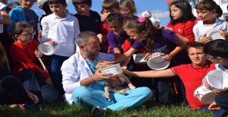Öğrencilere Hayvan Sevgisi Aşılandı