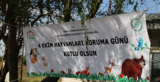 Minik Öğrenciler Hayvanlar İçin Bir Araya Geldi