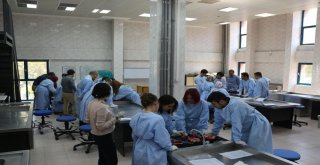 Paüde “Postmortem Kalp Okulu” Adlı Eğitim Çalışması Yapıldı