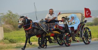 Yeni Evlenen Çiftin Faytondan Gelin Arabası Hayali Gerçek Oldu