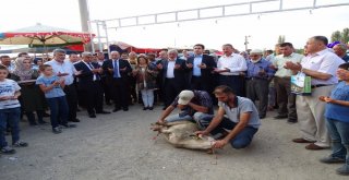 Hisarcık Kültür Ve Sanat Festivali Açıldı