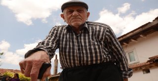 Canlı Tarih Yunan İşgalini Anlattı