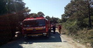 Pendik Aydos Ormanlarında Yangın