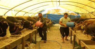 Polisten Kurban Satıcılarına Uygulamalı Sahte Para Uyarısı