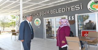 Atabey İskelesine Modern Mesire Alanı Yapılıyor