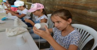 Bozbey Doğa Ve Bilim Yaz Okulunda Çocuklarla Buluştu