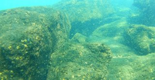 Van Gölünün Altında Yaşam Belirtileri