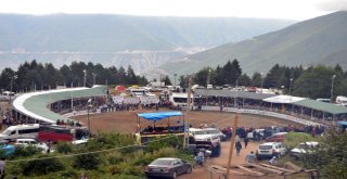 Boğa Güreşleri Türkiye Şampiyonu Belli Oldu