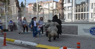 Keçi Derisi Giyip, Dana Kılından Bıyık Takıyorlar