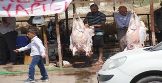 Kurban Fiyatları Düştü