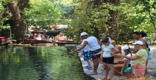 Ulupınar Sıcaktan Bunalanların Akınına Uğruyor