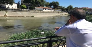 Haşerelere Karşı Biodrone İle İlaçlama