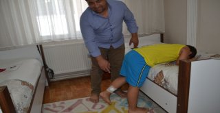 İnegölde Başı Boş Köpekler Dehşet Saçmaya Devam Ediyor