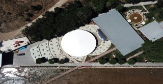 Türkiyenin En Büyük Şemsiyesi Gümüşhanede