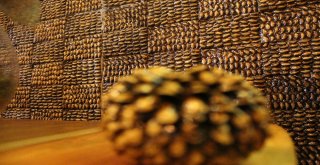 (Özel) Fıstık Kabuğu Sanatı İnşaat Sektörüne Giriyor