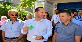 ‘Ekmeğini Çöpten Kazan Projesine Yoğun İlgi