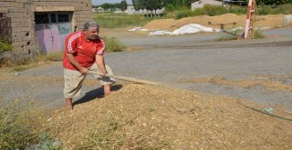 Muştan Almanyaya Tandır