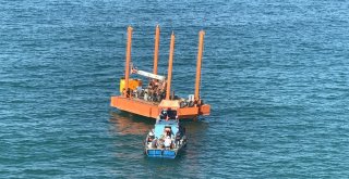 Batı Karadeniz Mahmuz Çalışması Başladı